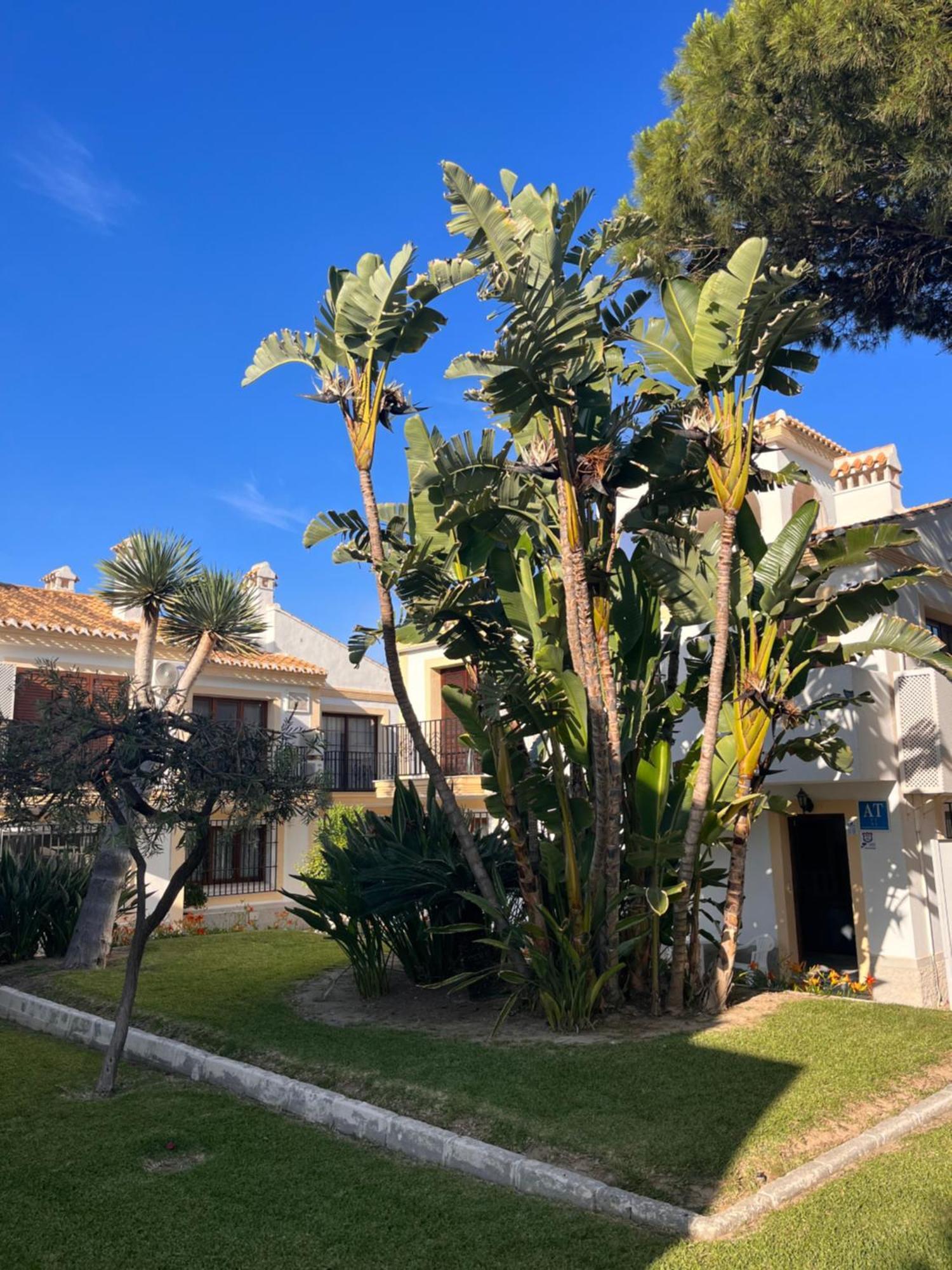 Apartamento Esquina Verde En Vera Coast Playas de Vera Kültér fotó
